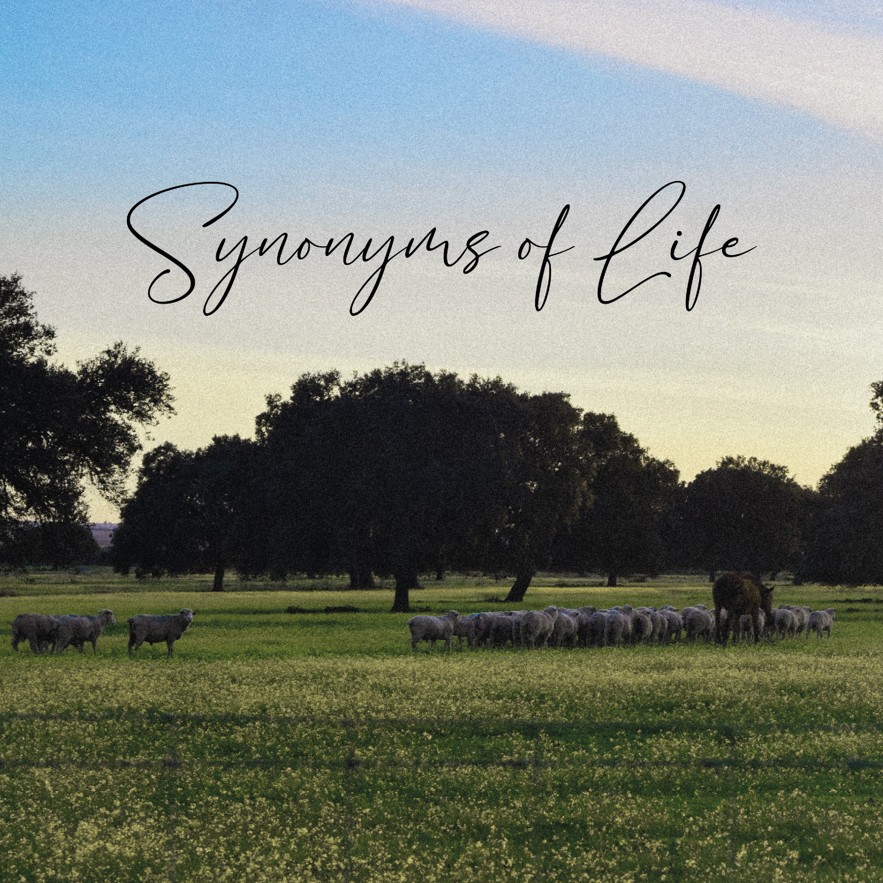 Latest Single album artwork