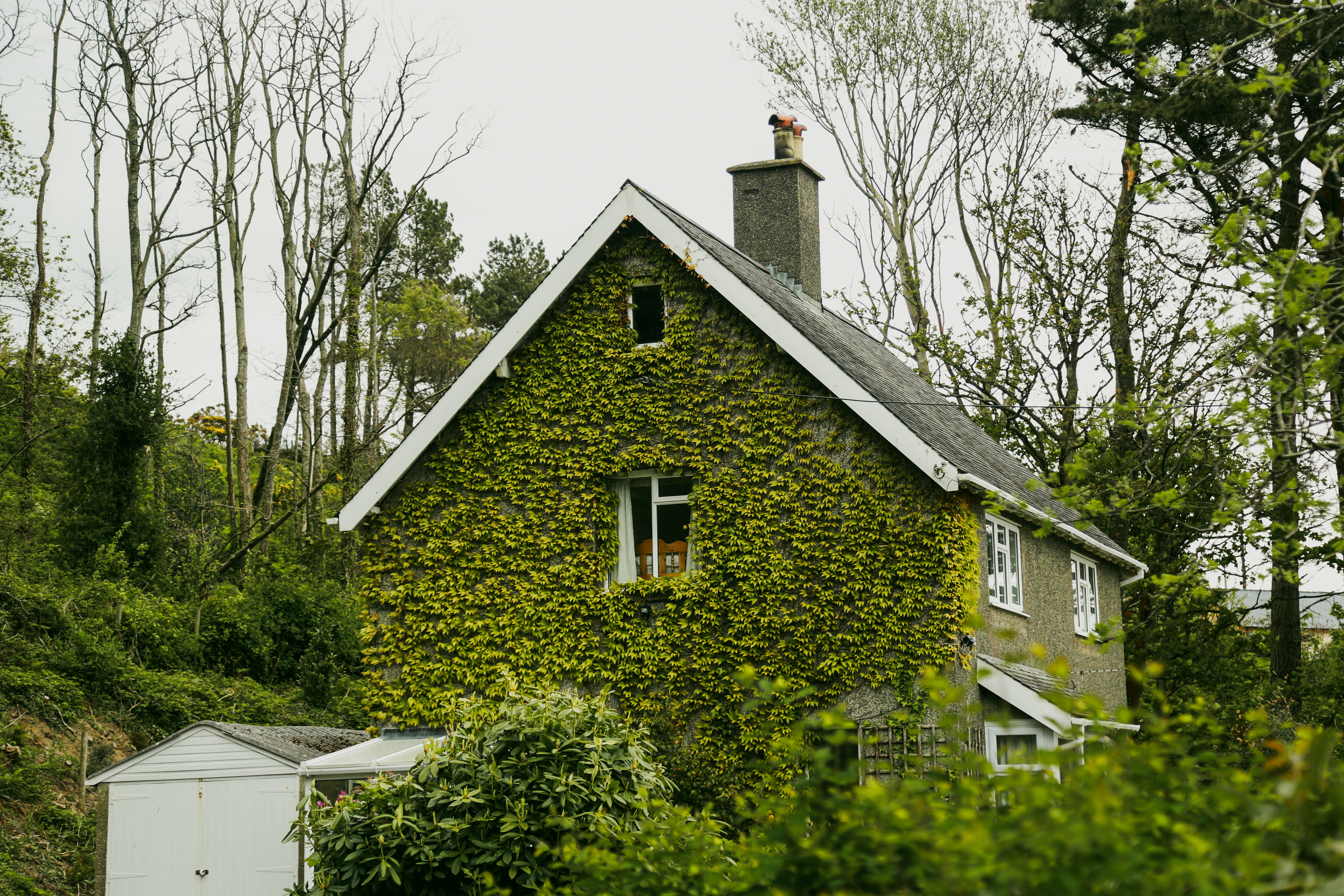 Photograph 15